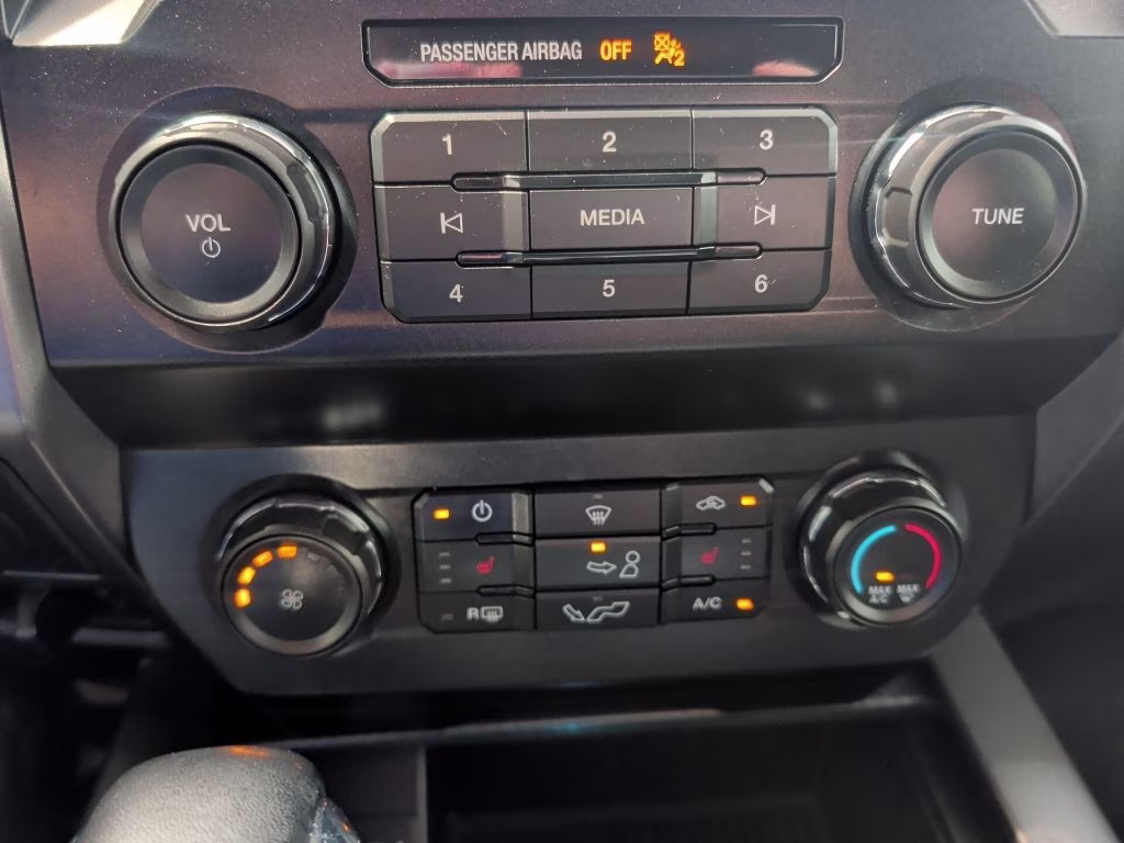 2019 Velocity Blue Metallic Ford F-150 XLT 4X4 Truck