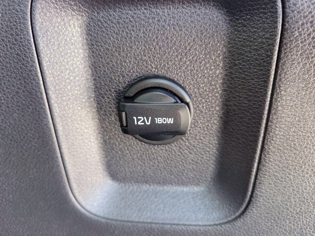 2024 Panthera Metal Kia Carnival LX FWD Van