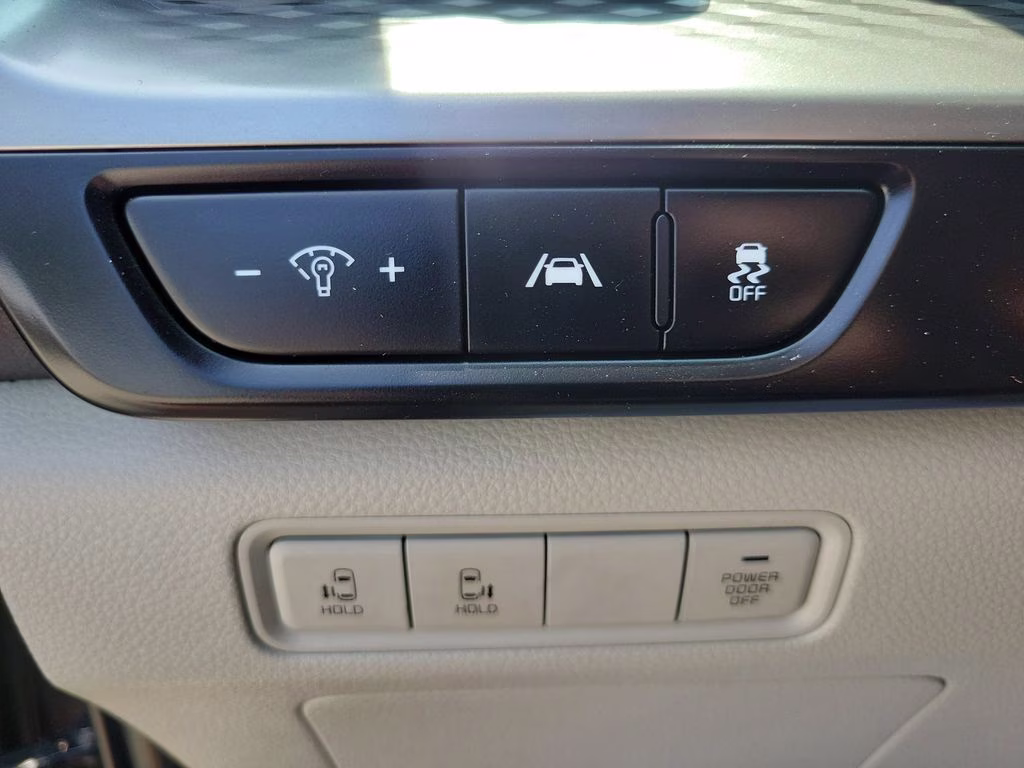 2024 Panthera Metal Kia Carnival LX FWD Van