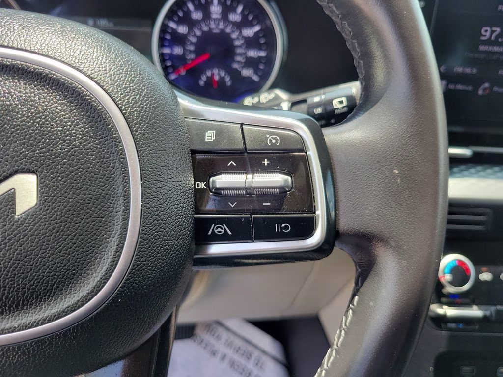 2024 Panthera Metal Kia Carnival LX FWD Van