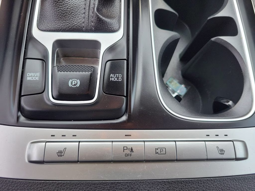 2024 Panthera Metal Kia Carnival LX FWD Van