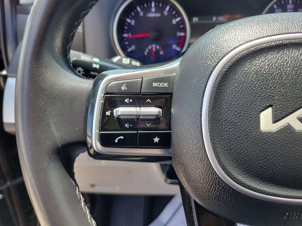 2024 Panthera Metal Kia Carnival LX FWD Van
