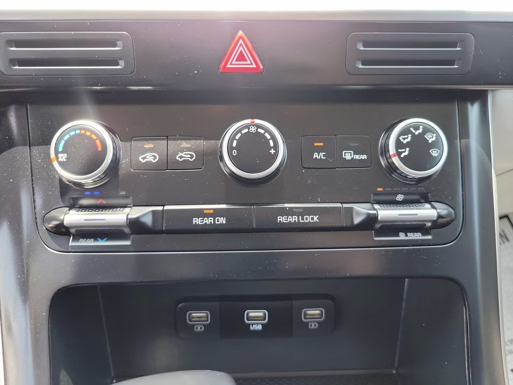 2024 Panthera Metal Kia Carnival LX FWD Van