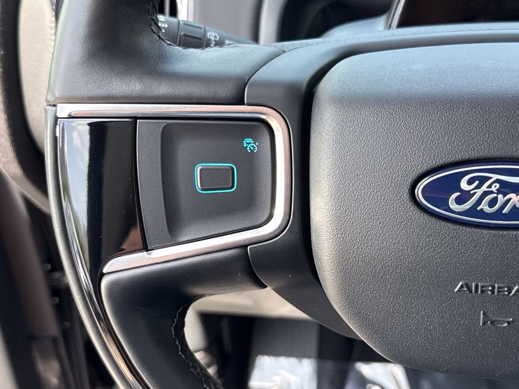 2025 Agate Black Metallic Ford Expedition Max Platinum 4X4 SUV
