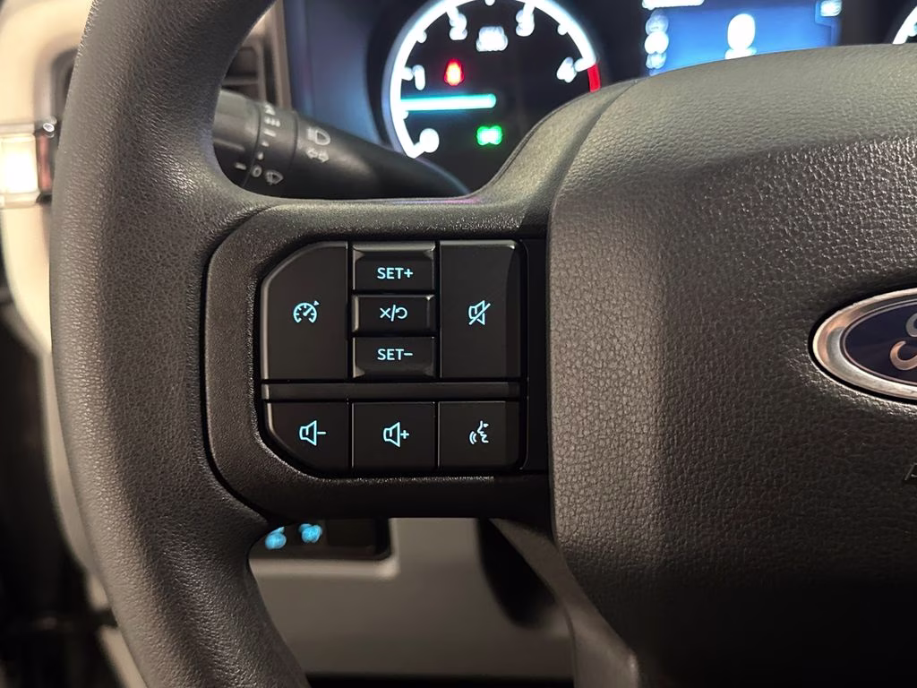 2025 Avalanche Ford Super Duty F-250 SRW XL 4X4 Truck