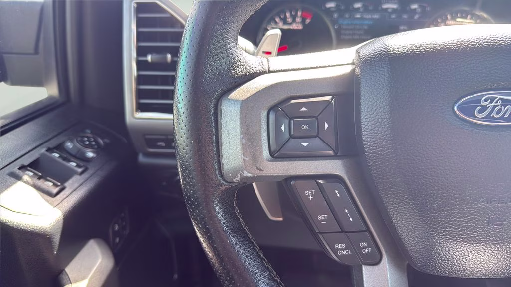 2018 Magnetic Ford F-150 Raptor 4X4 Truck
