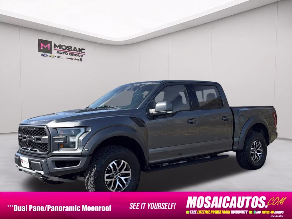 2018 Magnetic Ford F-150 Raptor 4X4 Truck