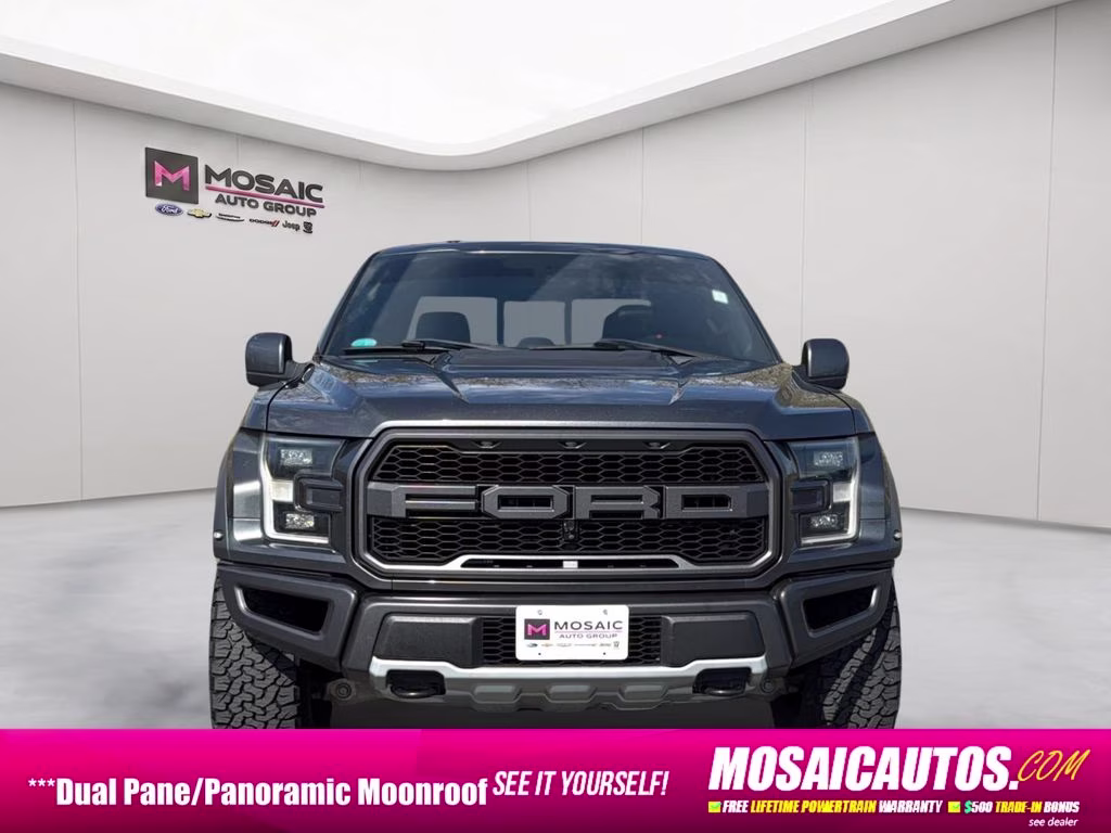 2018 Magnetic Ford F-150 Raptor 4X4 Truck