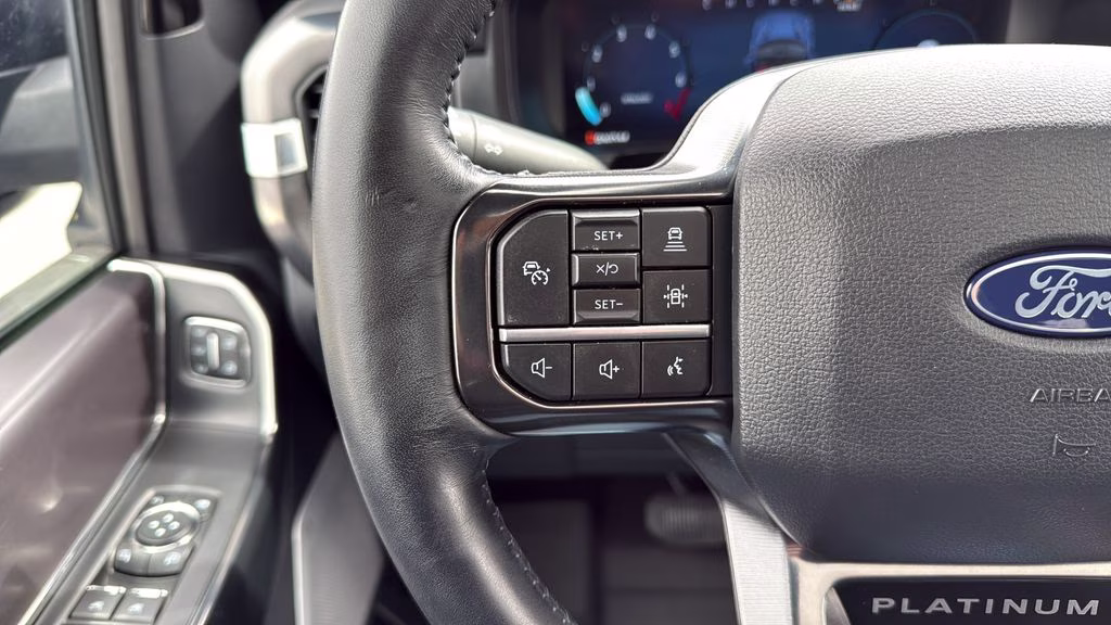 2025 Black Ford F-150 Platinum 4X4 Truck