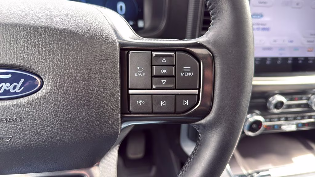 2025 Black Ford F-150 Platinum 4X4 Truck