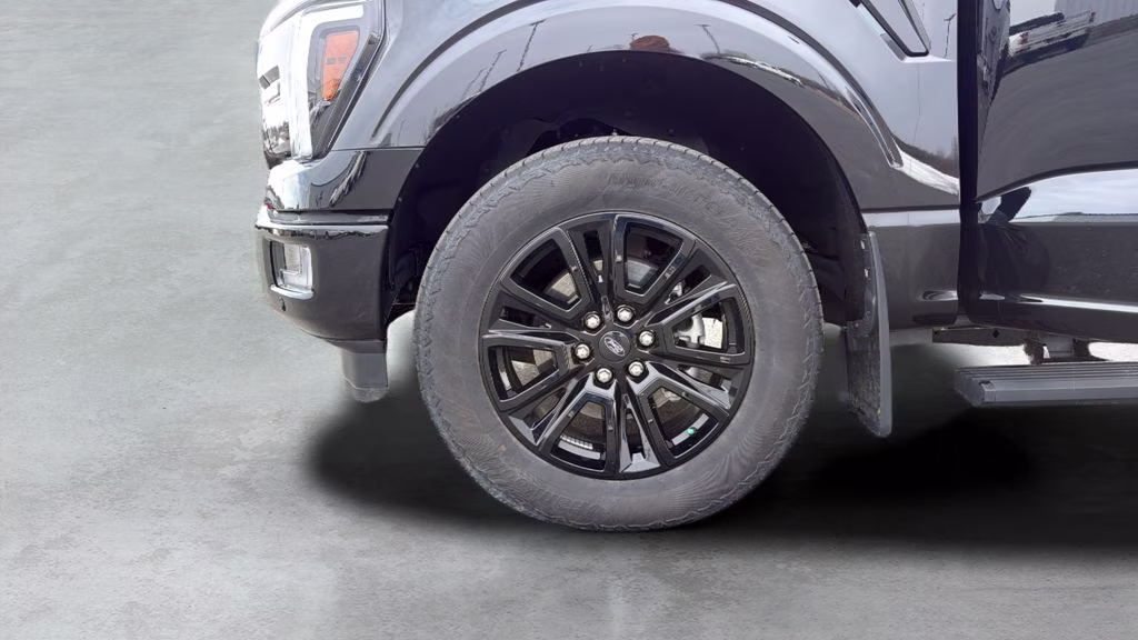 2025 Black Ford F-150 Platinum 4X4 Truck