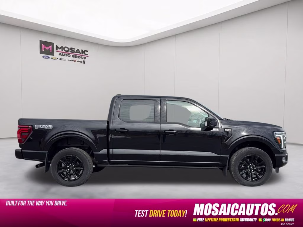 2025 Black Ford F-150 Platinum 4X4 Truck
