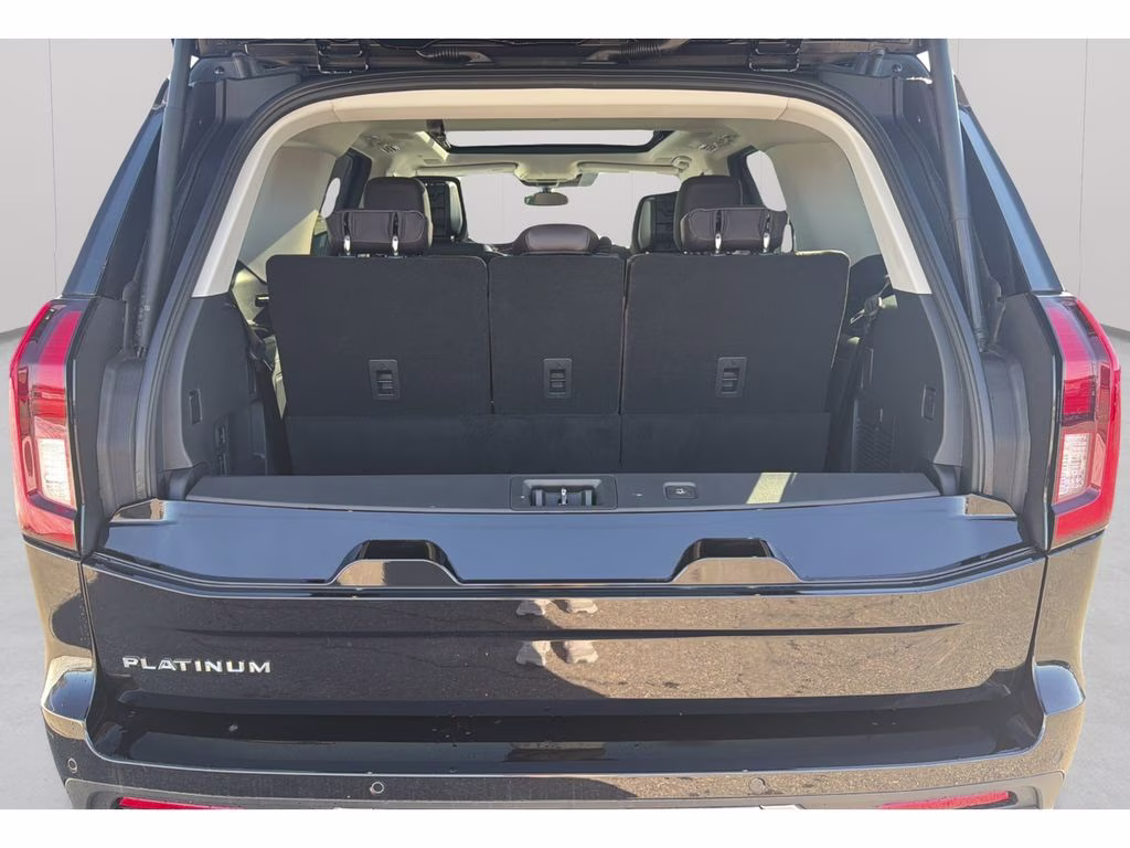 2026 Agate Black Metallic Ford Expedition Platinum 4X4 SUV