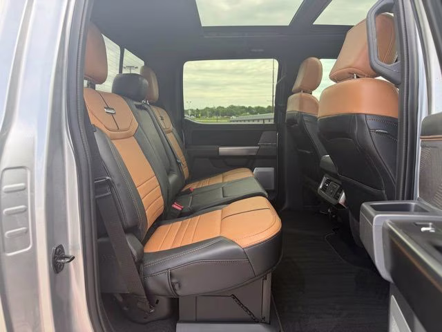 2023 Silver Ford Super Duty F-250 SRW Platinum 4X4 Truck