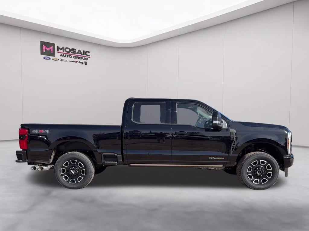 2026 Agate Black Metallic Ford Super Duty F-250 SRW Platinum 4X4 Truck