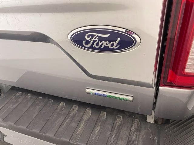 2020 Silver Metallic Ford F-150 Platinum 4X4 Truck