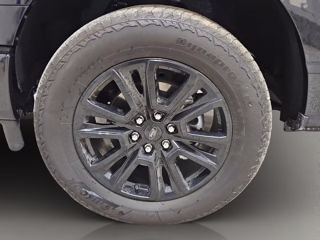 2025 Agate Black Metallic Ford F-150 Platinum 4X4 Truck