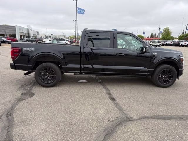 2025 Agate Black Metallic Ford F-150 Platinum 4X4 Truck