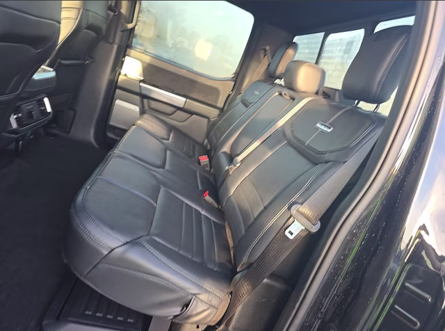 2025 Agate Black Metallic Ford F-150 Platinum 4X4 Truck