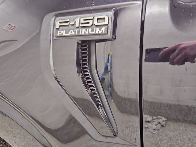 2025 Agate Black Metallic Ford F-150 Platinum 4X4 Truck