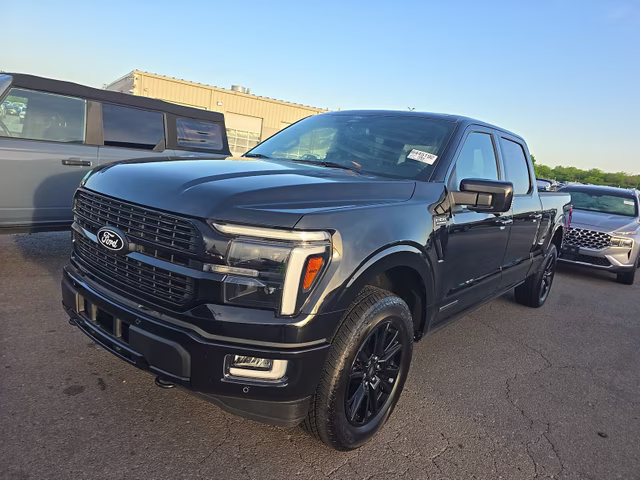 2025 Agate Black Metallic Ford F-150 Platinum 4X4 Truck
