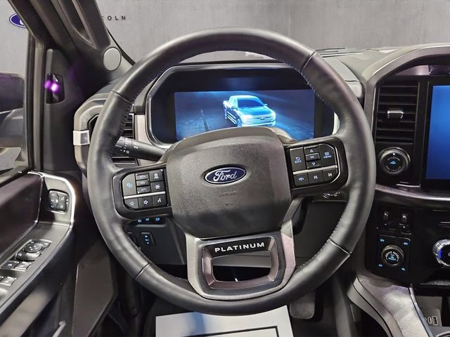 2025 Agate Black Metallic Ford F-150 Platinum 4X4 Truck