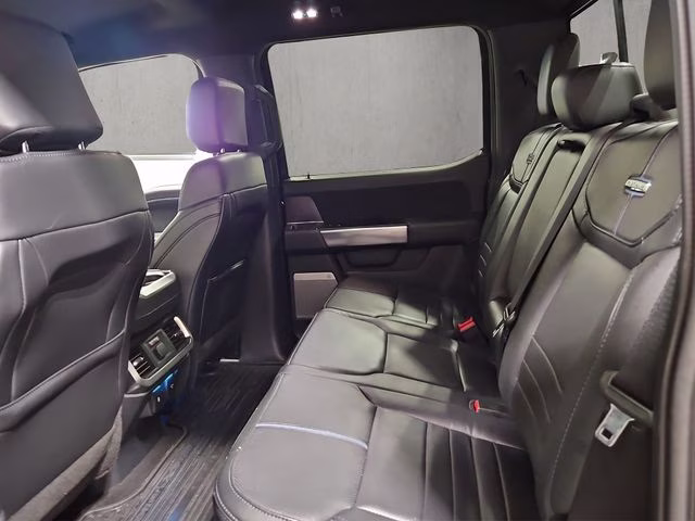 2025 Agate Black Metallic Ford F-150 Platinum 4X4 Truck