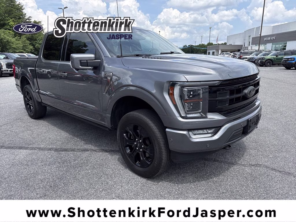 2023 Carbonized Gray Metallic Ford F-150 Platinum 4X4 Truck