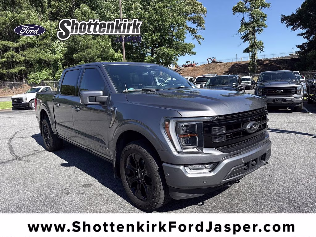 2023 Carbonized Gray Metallic Ford F-150 Platinum 4X4 Truck