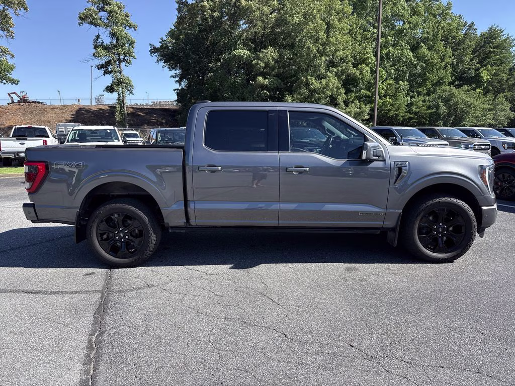 2023 Carbonized Gray Metallic Ford F-150 Platinum 4X4 Truck