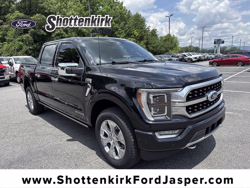2022 Agate Black Metallic Ford F-150 Platinum 4X4 Truck