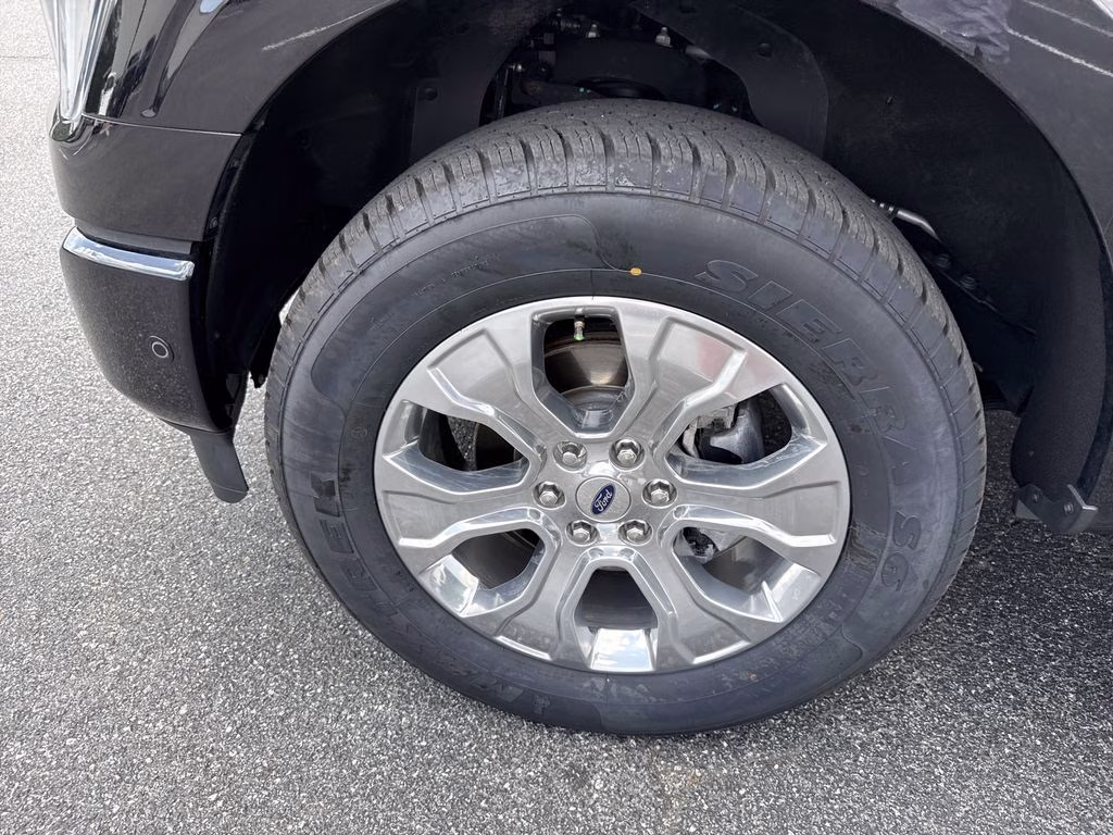 2022 Agate Black Metallic Ford F-150 Platinum 4X4 Truck