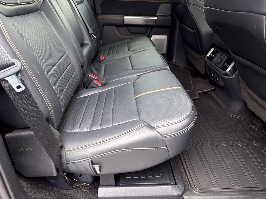 2022 Agate Black Metallic Ford F-150 Platinum 4X4 Truck