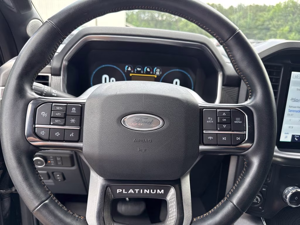 2022 Agate Black Metallic Ford F-150 Platinum 4X4 Truck
