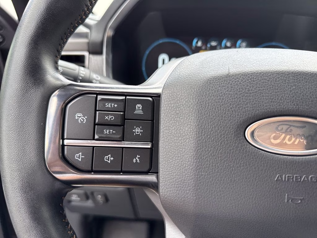 2022 Agate Black Metallic Ford F-150 Platinum 4X4 Truck