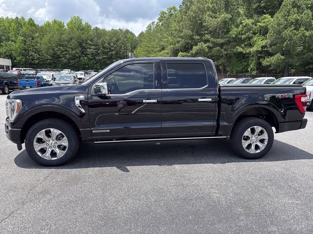 2022 Agate Black Metallic Ford F-150 Platinum 4X4 Truck
