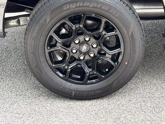 2026 Gray Metallic Ford F-150 XLT RWD Truck