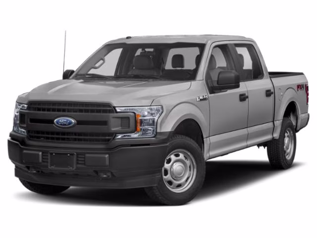 2019 Ingot Silver Ford F-150 XL 4X4 Truck