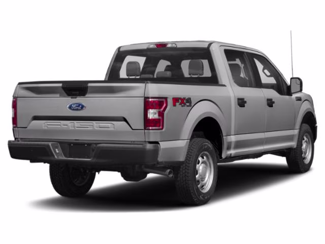 2019 Ingot Silver Ford F-150 XL 4X4 Truck