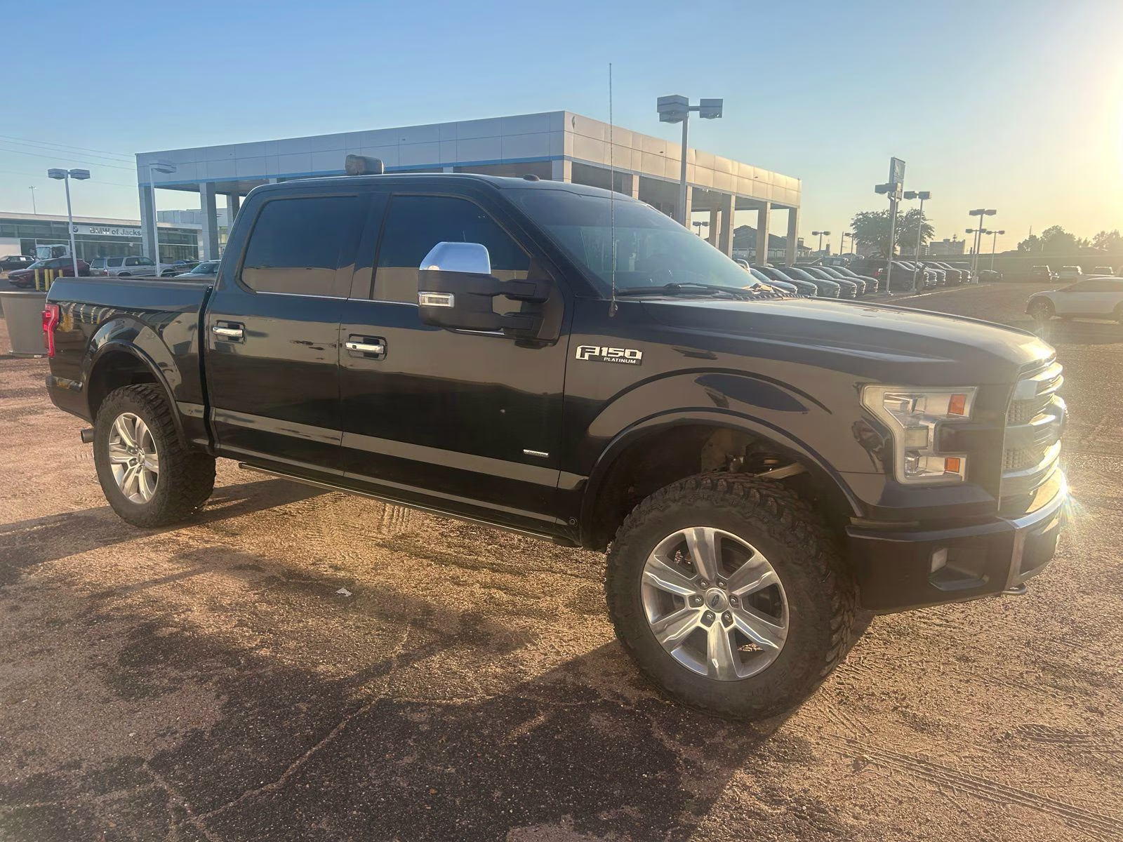 2016 Shadow Black Ford F-150 Platinum 4X4 Truck