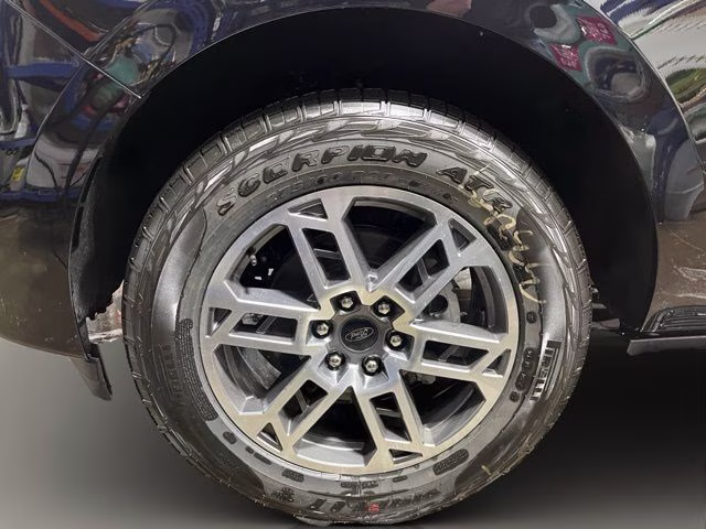2026 Agate Black Metallic Ford Expedition Active 4X4 SUV