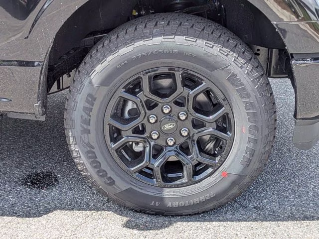 2026 Black Ford F-150 XLT 4X4 Truck