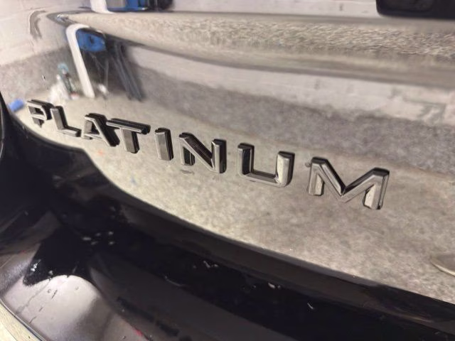 2026 Agate Black Metallic Ford Expedition Max Platinum 4X4 SUV