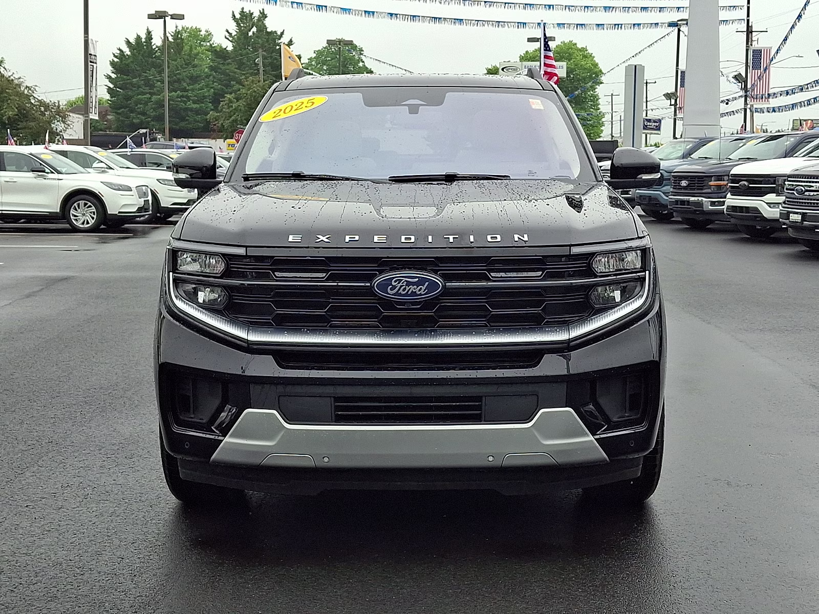 2025 Agate Black Metallic - UM Ford Expedition Platinum 4X4