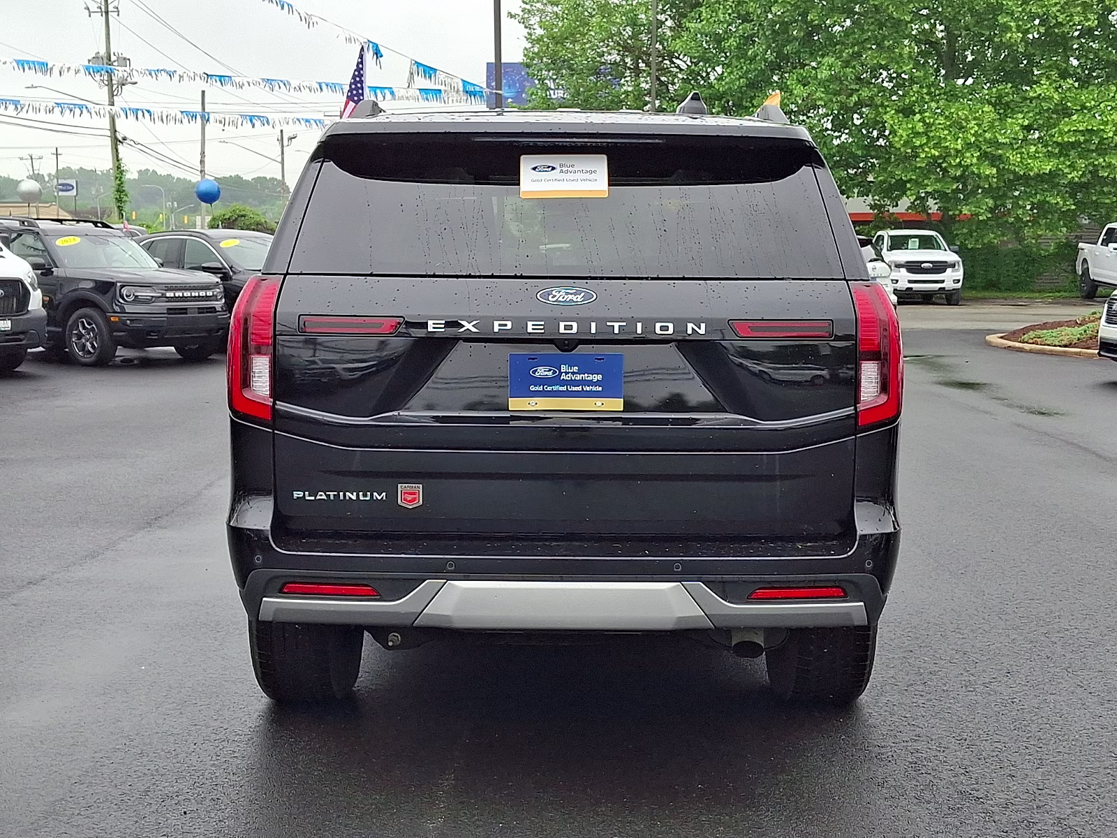2025 Agate Black Metallic - UM Ford Expedition Platinum 4X4