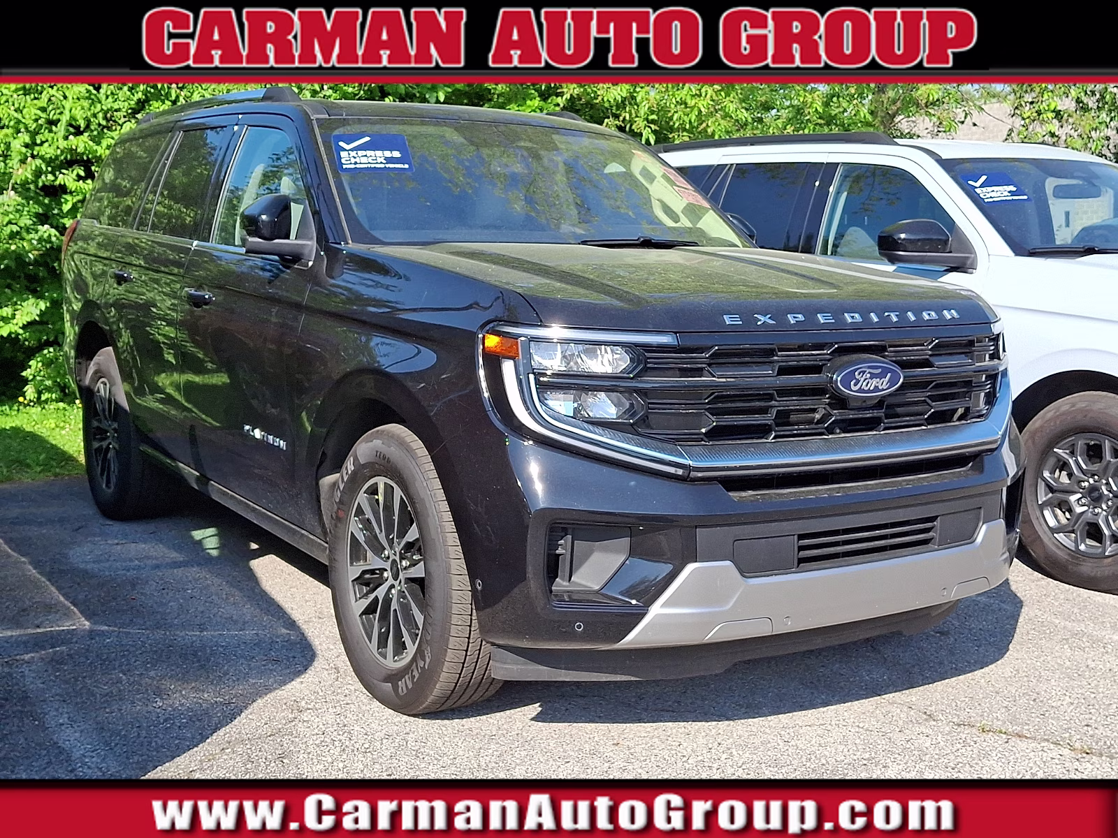 2025 Ford Expedition Platinum 4x4's photo