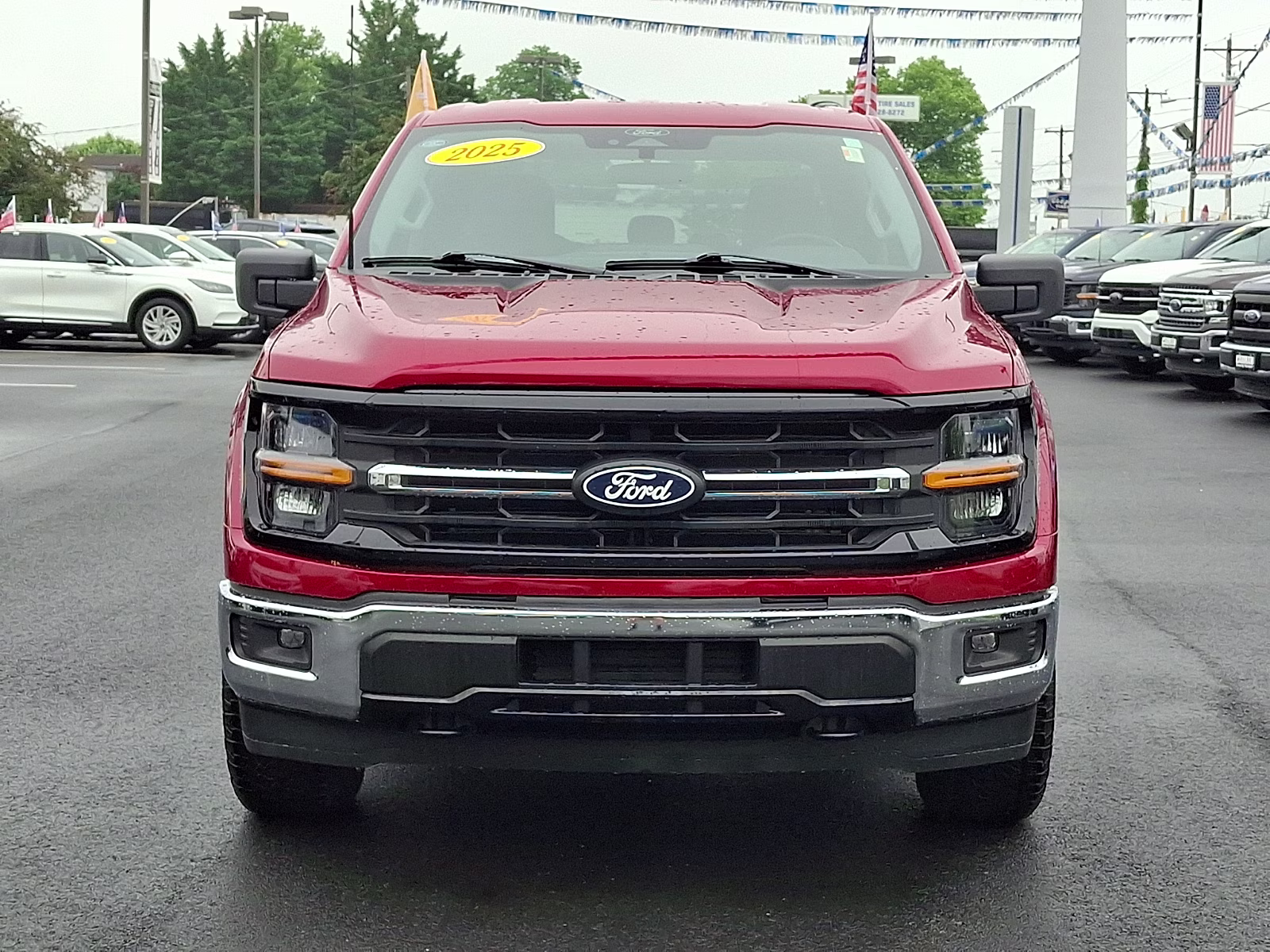 2025 Rapid Red Metallic Tinted Clearcoat - D4 Ford F-150 XLT 4X4