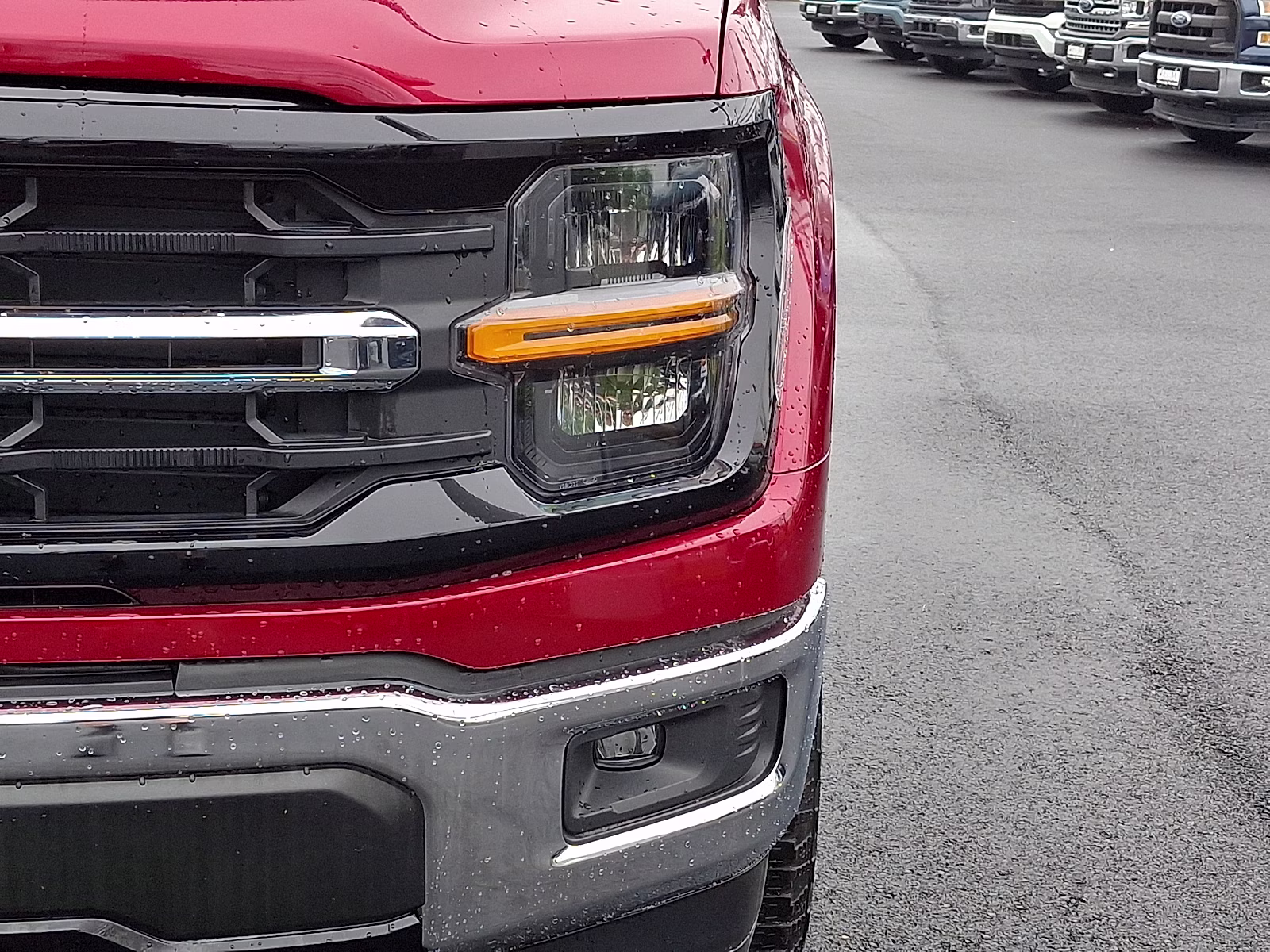 2025 Rapid Red Metallic Tinted Clearcoat - D4 Ford F-150 XLT 4X4