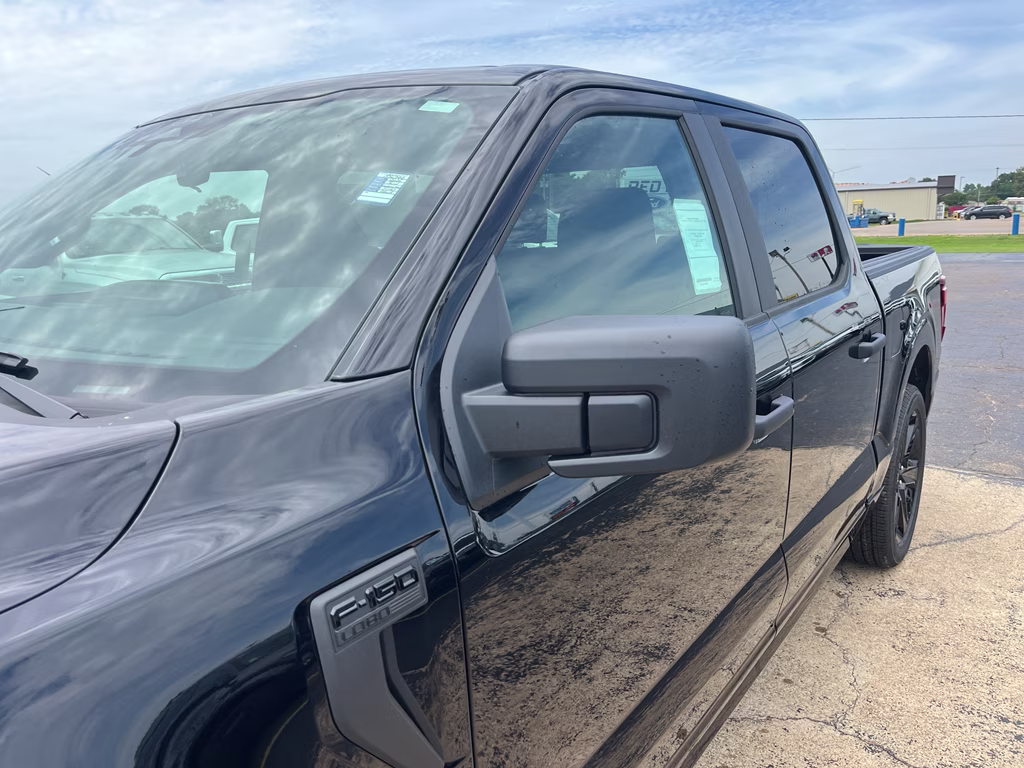 2026 Agate Black Metallic Ford F-150 STX 4X4 Truck