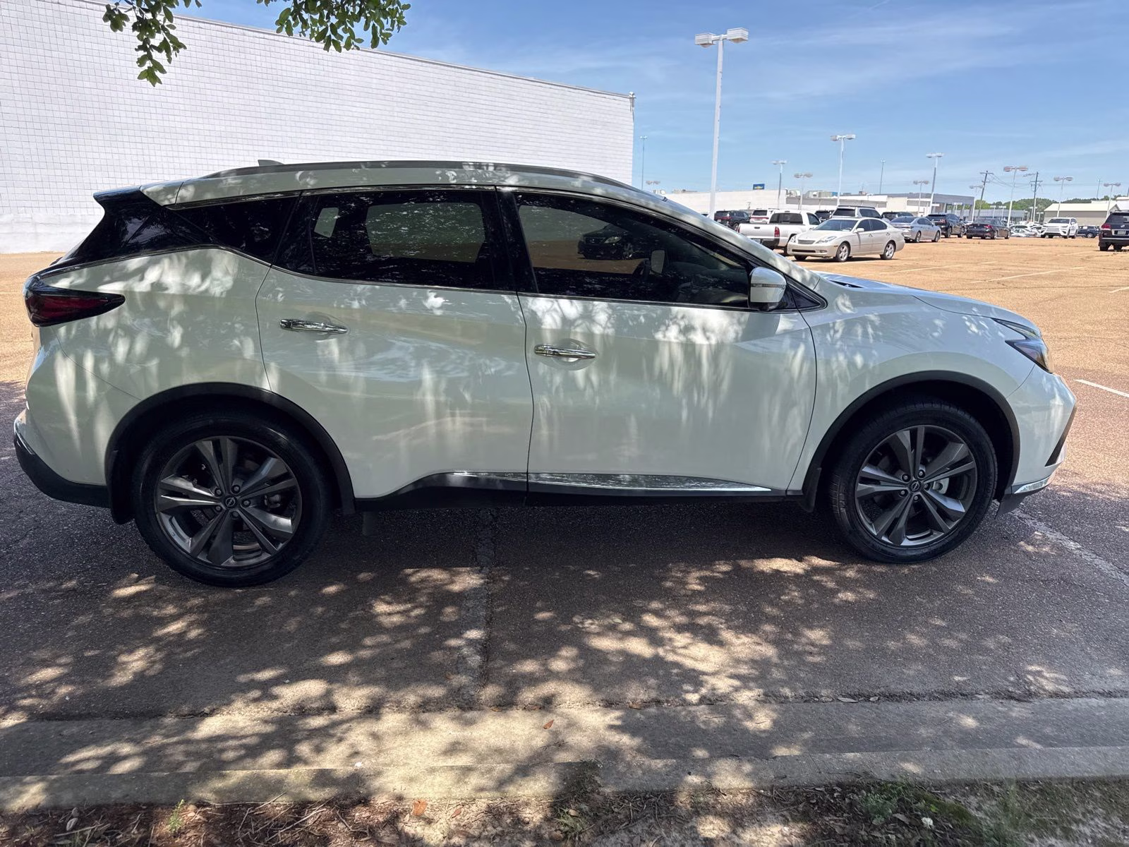 2023 Pearl White Nissan Murano Platinum FWD SUV